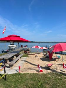 صورة لـ N' This on the Bay -Vacation Suite في ويارتون