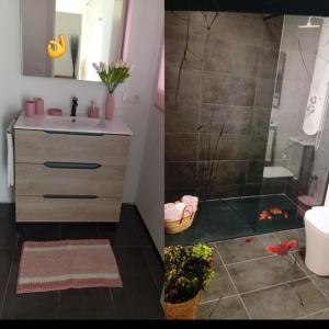 a bathroom with a sink and a shower at O Caminho Azul in Olivenza