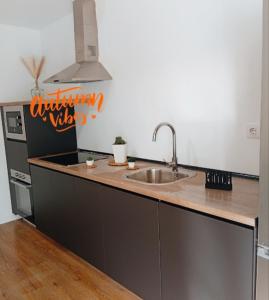 a kitchen with a sink and a stove at O Caminho Azul in Olivenza