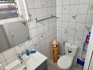 a bathroom with a toilet and a sink at L'Orange Volcanique in Saint-Pierre