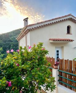a white house with a tree in front of it at l’Anita in Théoule-sur-Mer