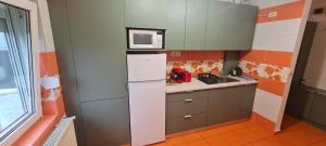 una piccola cucina con frigorifero e forno a microonde di La Bloc Apartment a Arad