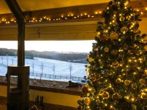 a christmas tree in a room with a window at Coombe View in South Redworthy