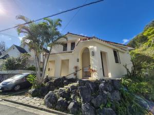 une maison avec un palmier et un mur de rochers dans l'établissement Karin Design Cottage, à Onna