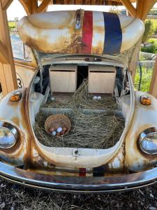 an old car with a bird nest in the hood at Chalets Waldeck - Urlaub im Fränkischen Seenland  +1 photo