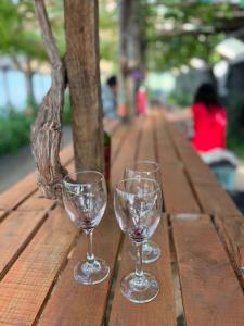 two wine glasses sitting on top of a wooden table at Surí refugios Aquasol, Carretera Austral, Cochrane in Cochrane