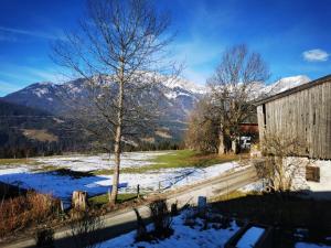 un campo cubierto de nieve con un edificio y un árbol en Ferienwohnung Tommarlhof, en Söll