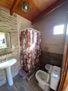a bathroom with a sink and a toilet and a shower at Cabañas Casa Verde in Potrerillos