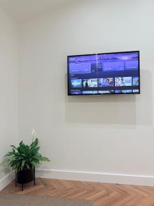 a television on a white wall in a room with a plant at Cosy Corner Cheadle in Cheadle
