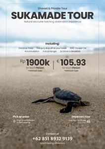 a turtle sitting on the sand on a beach at Bromo Breeze Malang in Malang +20 photos