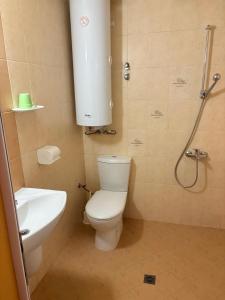 a bathroom with a toilet and a sink and a shower at Къща за гости Орешака in Oreshak