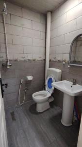 a bathroom with a toilet and a sink at Hostel le Coin d'Or in Fort de lʼEau