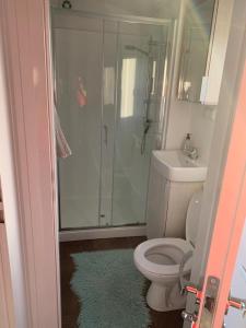 a bathroom with a shower and a toilet and a sink at Luxus Chalet Wattenmeerblick in Westerland