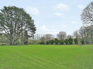 ein großes Grüngrasfeld mit einem Baum in der Unterkunft The Gatehouse in Hooke
