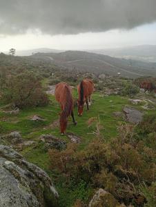 Φωτογραφία από το άλμπουμ του A Casa da Rianxeira σε Pobra do Caraminal