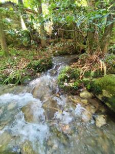 Φωτογραφία από το άλμπουμ του A Casa da Rianxeira σε Pobra do Caraminal