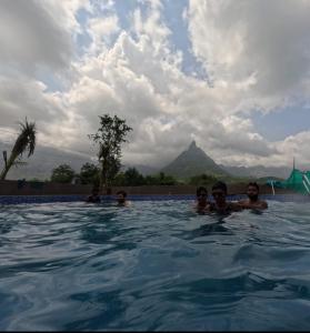 Příroda nedaleko farmy