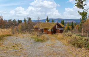 een huis met een grasdak in een veld bij Gorgeous Home In Venabygd With Sauna in Venabygd