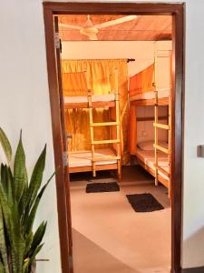 a room with bunk beds and a plant at Wave Loom Hostel Ahangama in Ahangama