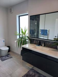 a bathroom with a sink and a toilet and a mirror at Awesome accomodation-Aokautere in Aokautere +5 photos