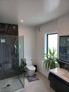 a bathroom with a toilet and a shower and a sink at Awesome accomodation-Aokautere in Aokautere