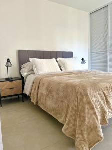 Postel nebo postele na pokoji v ubytování Charming Apartment in Curridabat