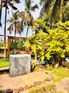 a garden with palm trees and a stone bench at Wave Loom Hostel Ahangama in Ahangama +41 photos