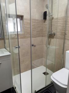 a shower stall in a bathroom with a toilet at Villa Mayki in Cacicedo +31 photos