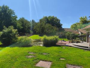 un cortile con laghetto e una casa di Erdőparty Vendégház a Tápiószecső