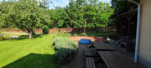 un cortile con una panchina di legno nell'erba di Erdőparty Vendégház a Tápiószecső