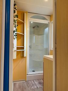 Koupelna v ubytování Mobile home 6 personnes Climatisé proche Puy du fou Clisson 800FA