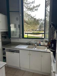 布洛涅-比扬古Idéal pour visiter Paris的带水槽和大窗户的厨房