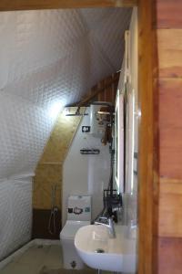 a bathroom with a sink and a toilet at The Kamcha Geodesic dome & Homestay in Bomdila
