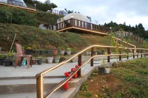 a set of stairs leading up a hill with plants at The Kamcha Geodesic dome & Homestay in Bomdila +7 photos