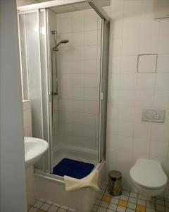 a bathroom with a shower and a sink and a toilet at Pension Am Seeberg in Alt Zeschdorf