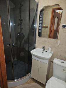 a bathroom with a shower and a toilet and a sink at Bobowianka in Bobowa