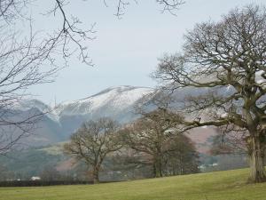 a snow covered mountain in the distance with trees at Acorn Lodge - Burnside Park in Keswick