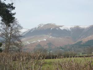 a snow covered mountain in a field with a tree at Acorn Lodge - Burnside Park in Keswick