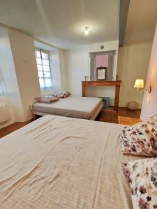 a bedroom with two beds and a mirror at Maison avec jardin aux Cabannes - Ariège in Les Cabannes