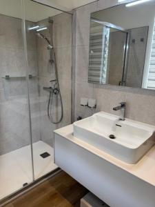 Un baño con lavabo y ducha con espejo. en Villa du Parc de Scey, en Dole