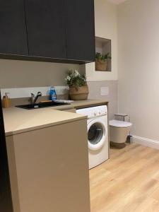 una cocina con lavadora y fregadero en Villa du Parc de Scey, en Dole