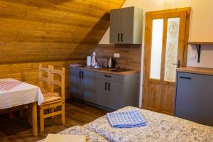 a kitchen with a counter and a table in a room at U Kováře Matěje in Dřevíkov