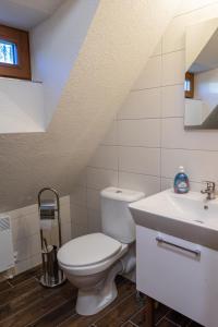 a bathroom with a toilet and a sink at U Kováře Matěje in Dřevíkov