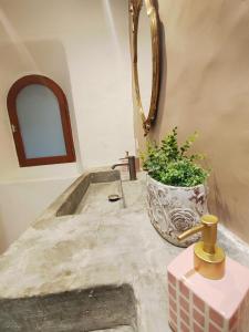 a bathroom with a sink and a mirror and a plant at Maison avec jardin aux Cabannes - Ariège in Les Cabannes