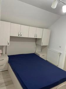 Postel nebo postele na pokoji v ubytování Apartament în Caransebeș