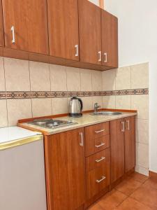 Η κουζίνα ή μικρή κουζίνα στο Apartments Lumina Marić +11 φωτογραφίες