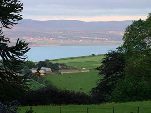GlenurguhartにあるPine Lodge - Uk7049の大水の緑地の眺め