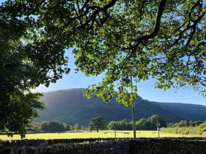 une vue d'un champ avec des montagnes en arrière-plan dans l'établissement Lobstone Cottage, à Rosthwaite