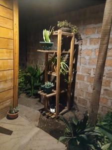 Billede fra billedgalleriet på Patience Airport cottages i Boma la Ngombe + 63 billeder