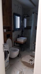 een badkamer met toilet en wastafel bij Ianmamaia in Mamaia +12 foto's